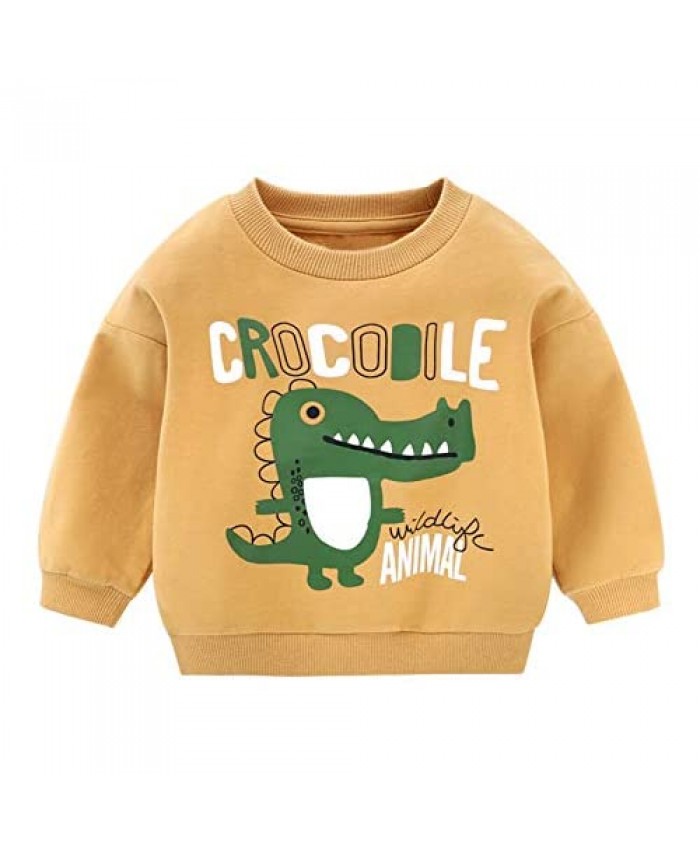 Mud Kingdom Cute Little Boys Sweatshirt Pullover Cartoon Dinosaur